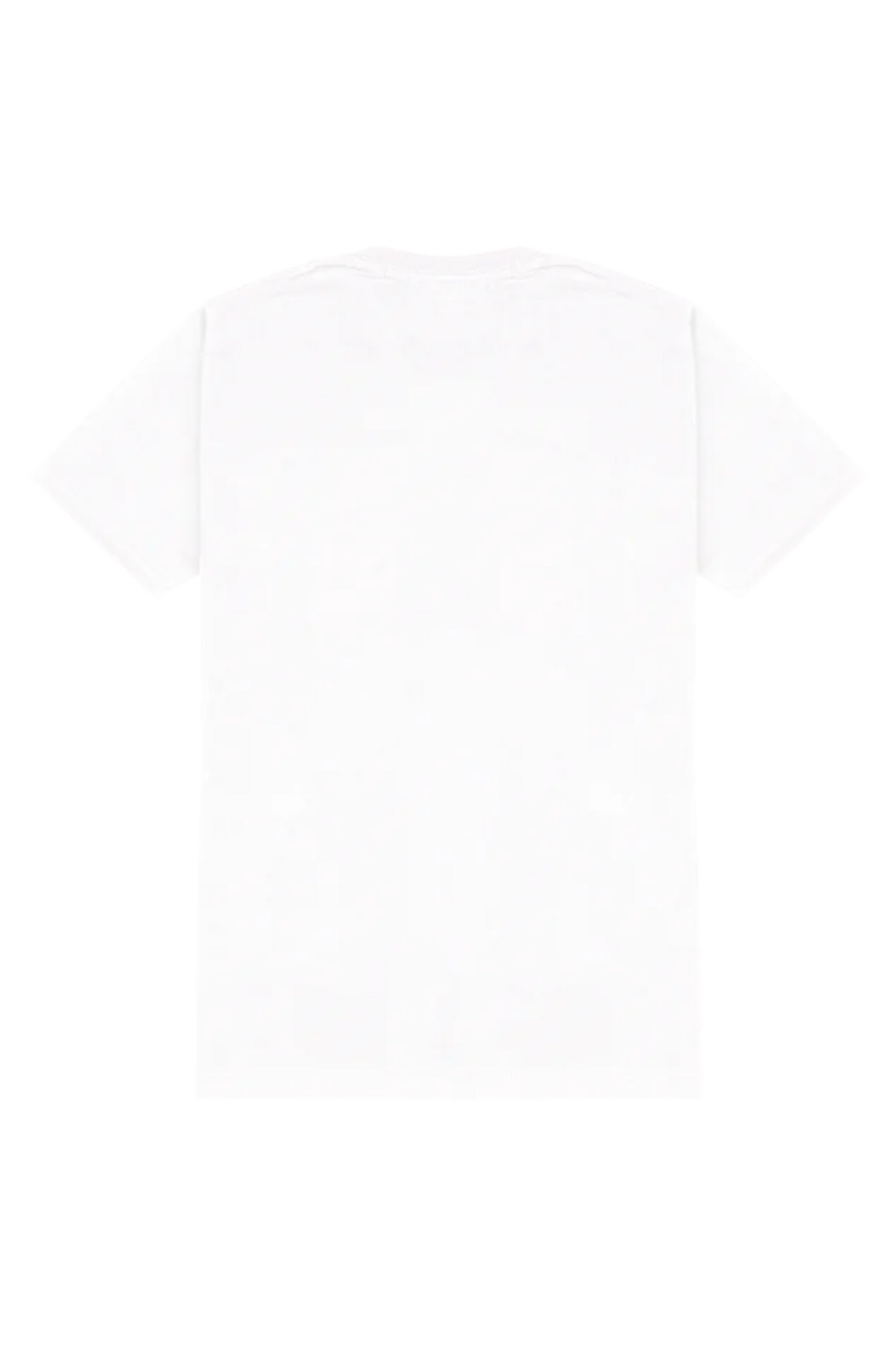 Boundary King in Action Men’s Cotton Crew T-Shirt – 180 GSM | 100% Cotton | Regular Fit | Cricket Graphic Tee